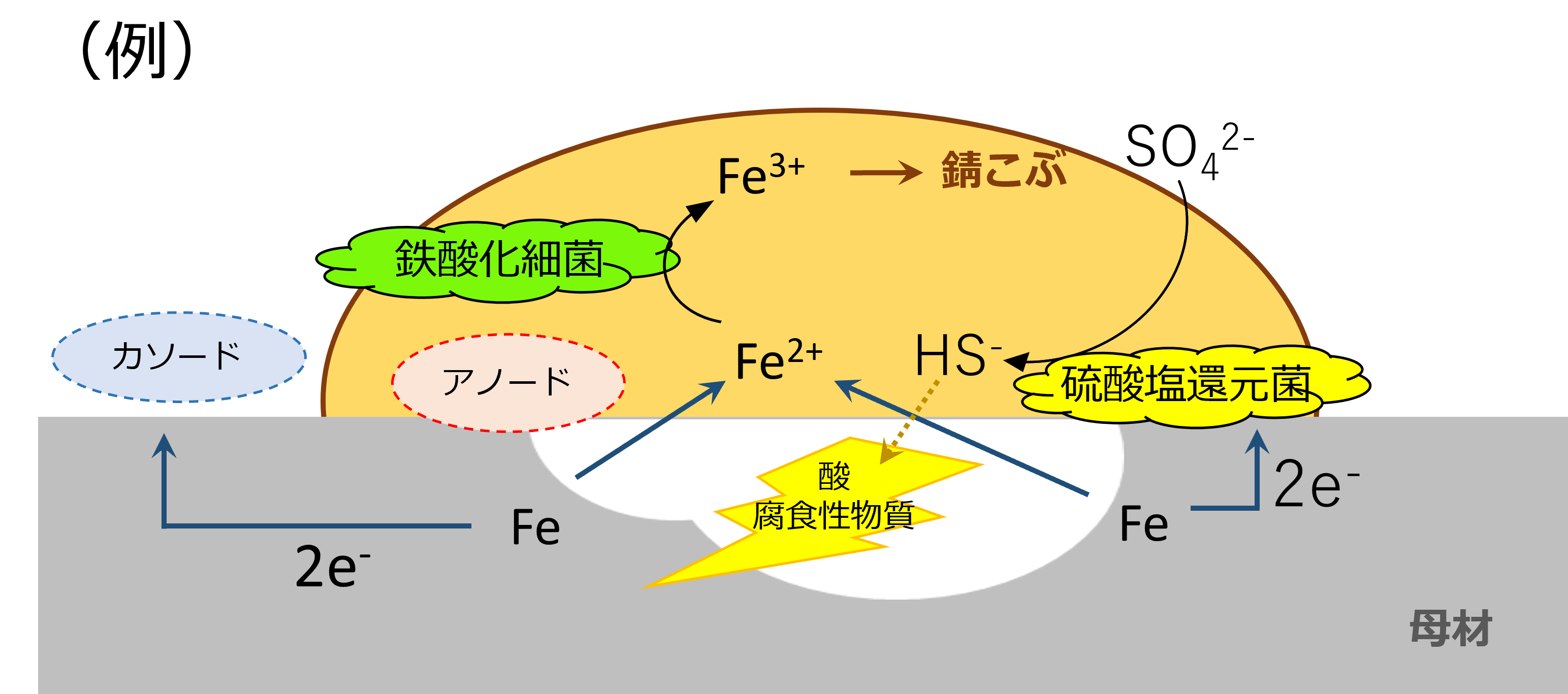 腐食過程で起こる現象を解明する