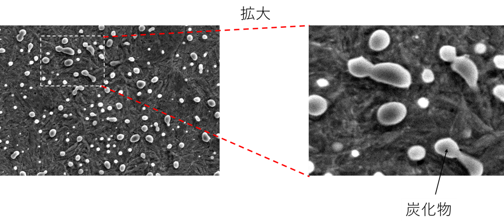 SUJ2の走査型電子顕微鏡(SEM)像