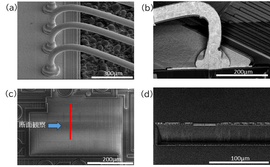 広域断面加工・観察