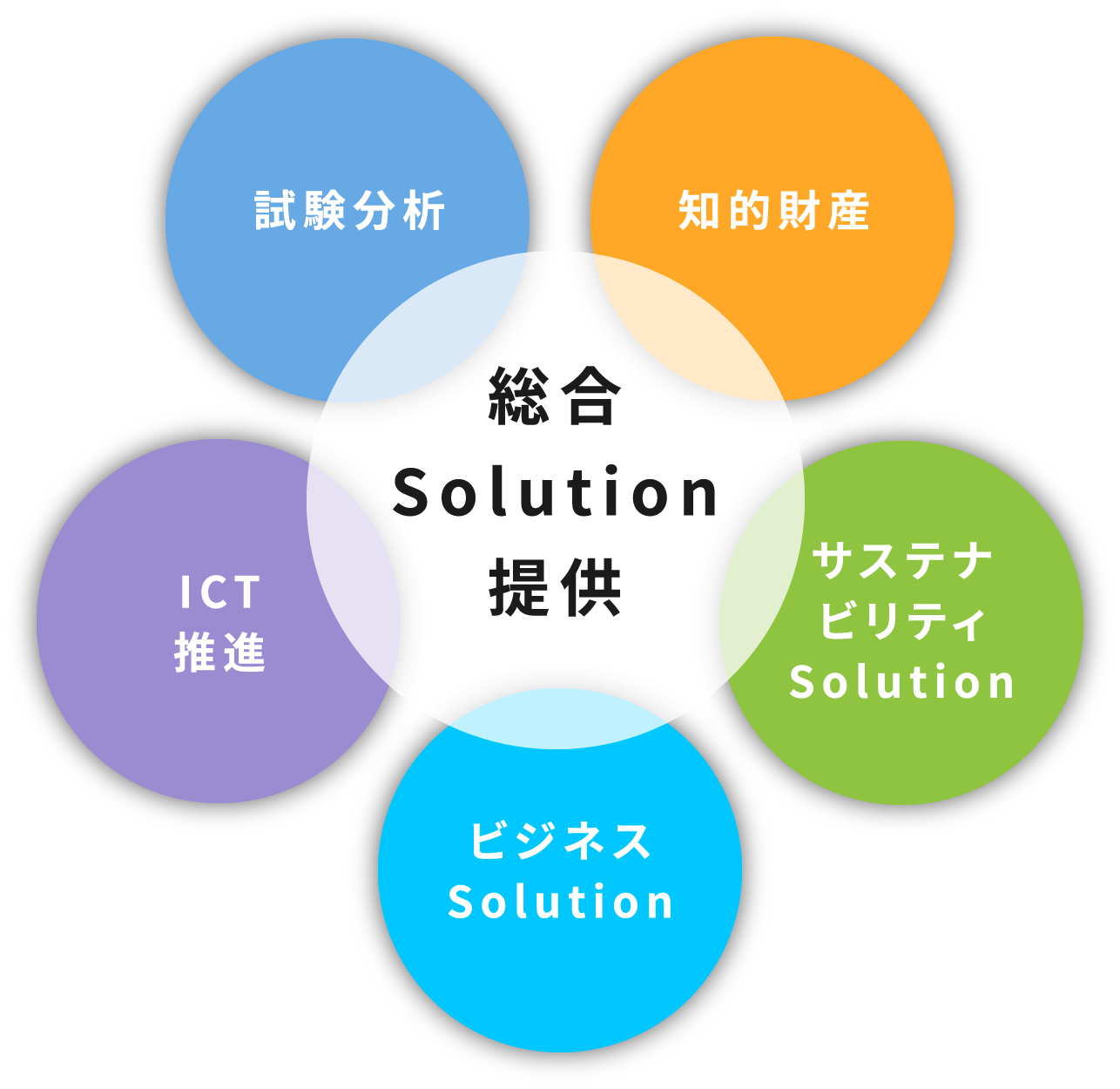 総合Solution提供(知的財産/サステナビリティSolution/ビジネスSolution/ICT推進/試験分析)
              