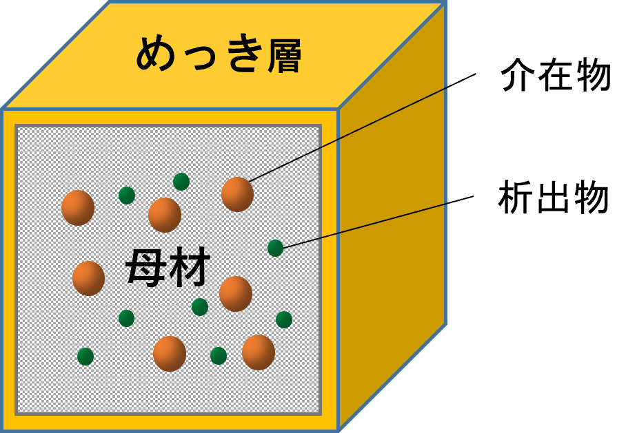 分析対象部位と分析対象成分イメージ