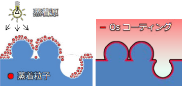 スパッタ蒸着法vs OSコーティング法(イメージ)