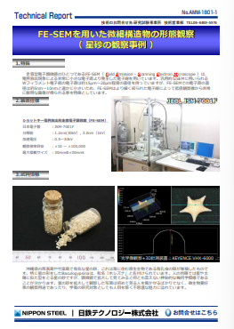 AMM-1801 FE-SEMを用いた微細構造物の形態観察(星砂の観察事例)(PDF)