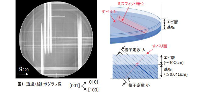 図1 透過X線トポグラフ像