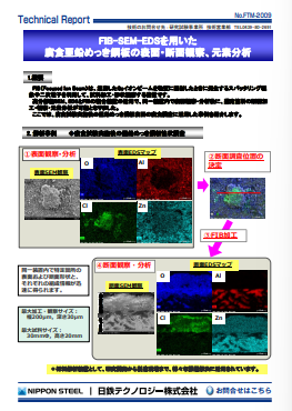 FTM-2009 FIB-SEM-EDSを用いた腐食亜鉛めっき鋼板の表面・断面観察、元素分析(PDF)