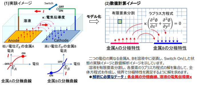 左:(1)実験イメージ 右:(2)数値計算イメージ