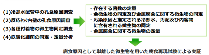 微生物腐食の調査事例