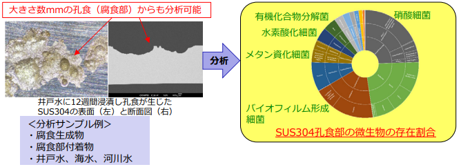 SUS304の腐食原因調査