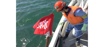 海域調査状況