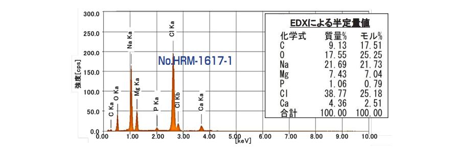 1 EDX(エネルギー分散型蛍光X線分析)による元素分析