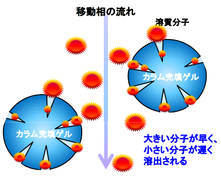 図2.サイズ除去による分子分離イメージ