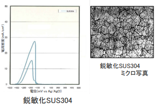 電気化学的再活性化(EPR)試験