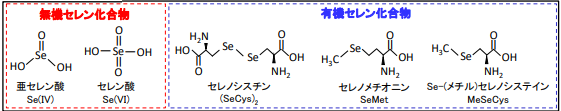 図1 セレン化合物の例