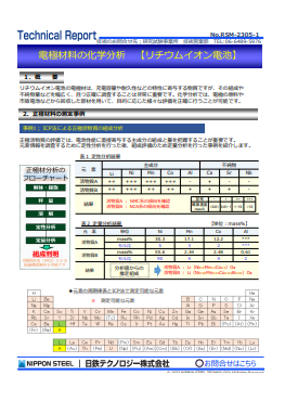 RSM-2305 電極材料の化学分析【リチウムイオン電池】(PDF)