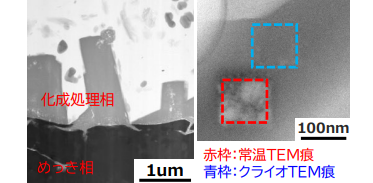 図1:化成処理膜のクライオ観察例