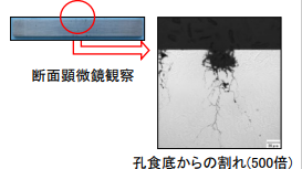 断面顕微鏡観察